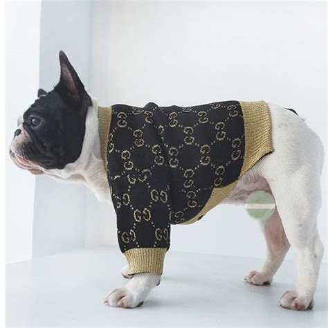 french bulldog gucci sweater|gucci designer dog clothing.